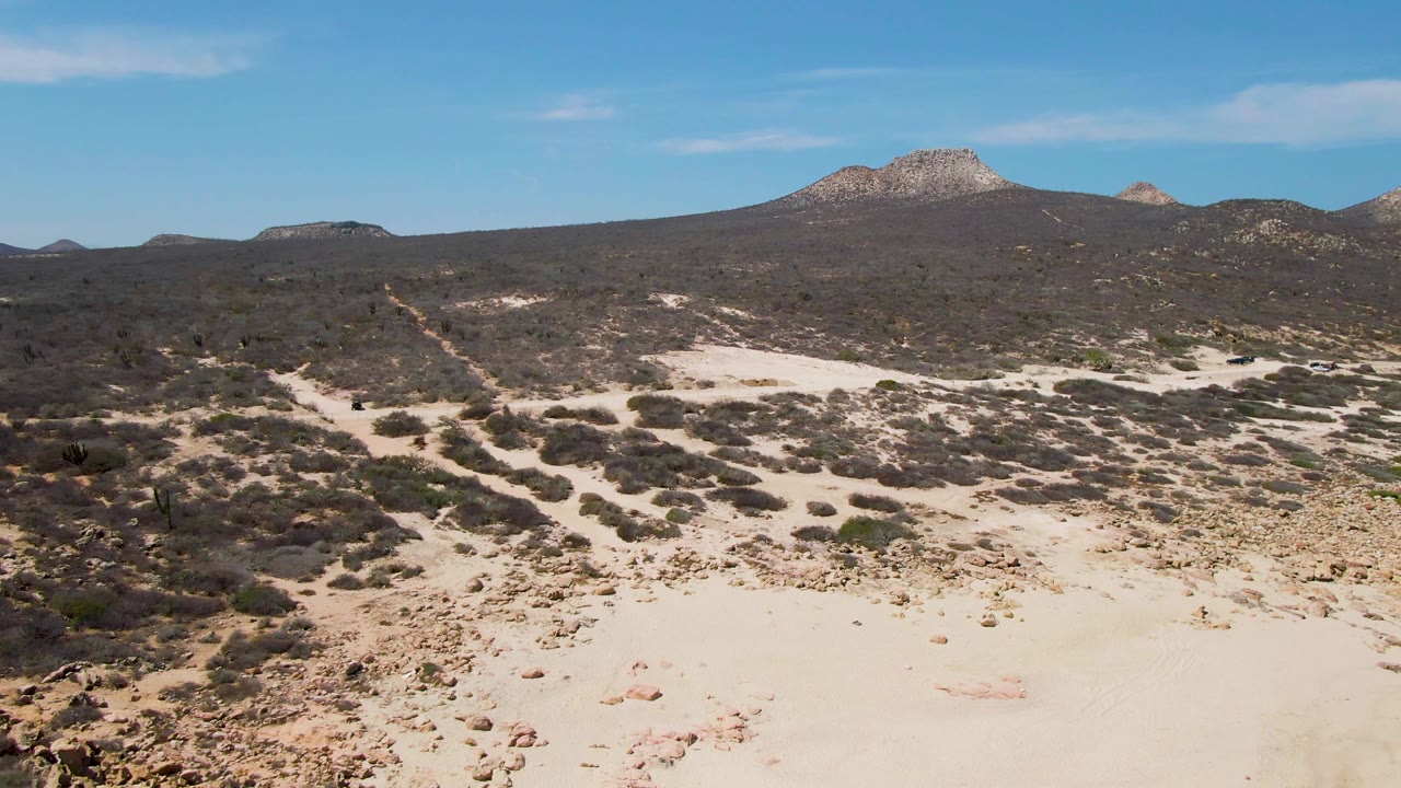 Desert plain with scattered vegetation and low mountains beyond