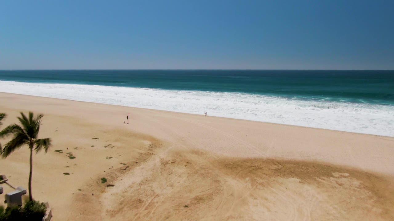 Wide aerial beach frame with one palm tree, open sand, surf, and ocean.