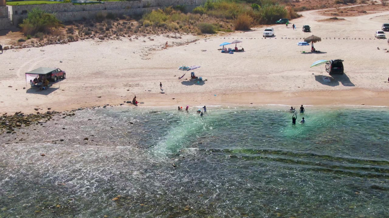 People wade near the surf while umbrellas and vehicles sit on the sandy beach