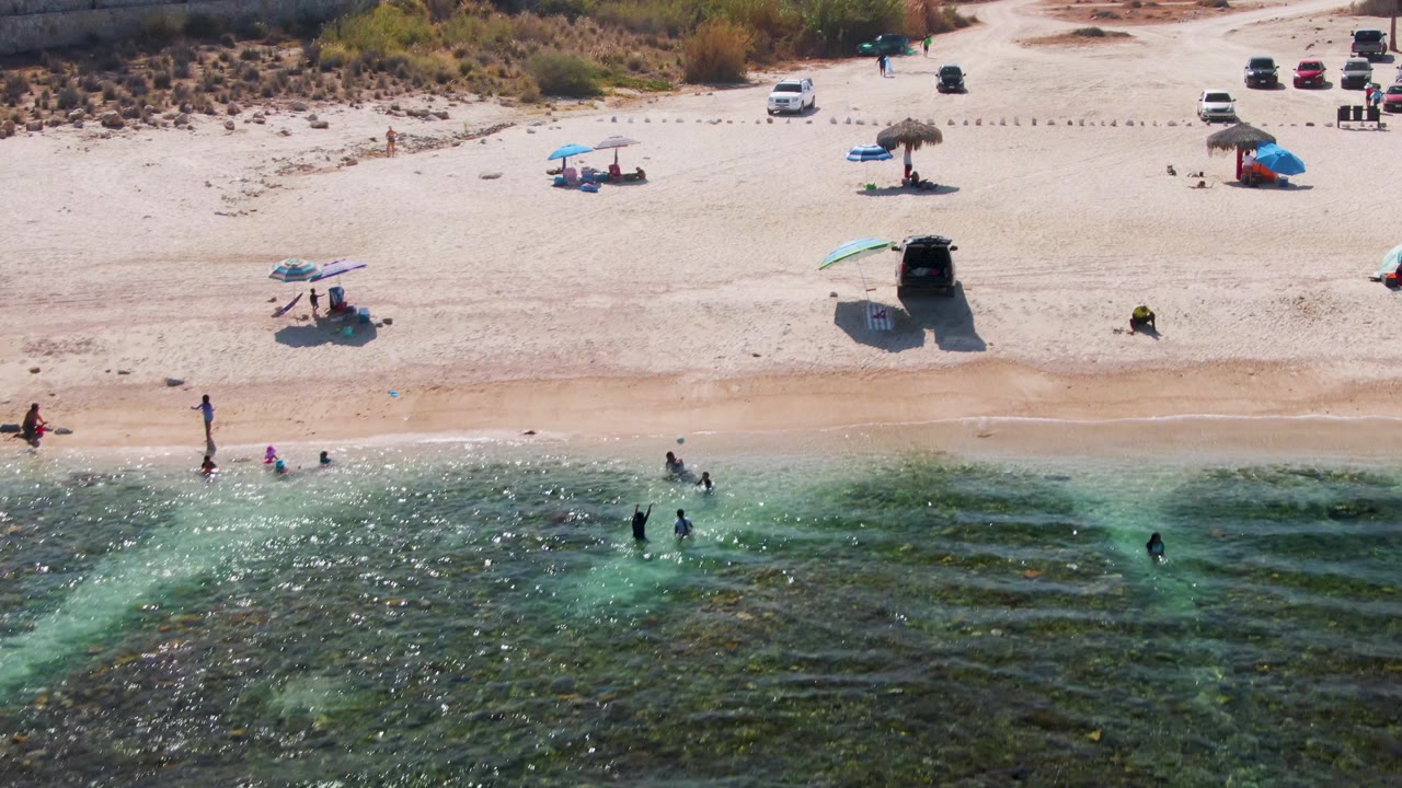 Aerial frame at El Tule Beach in Los Cabos showing swimmers in clear shallow water, pale sand, scattered umbrellas, parked vehicles, and dune scrub beyond the beach.