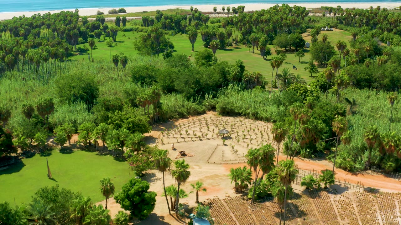 Aerial view of circular seating area, palms, lawns, beach, and ocean