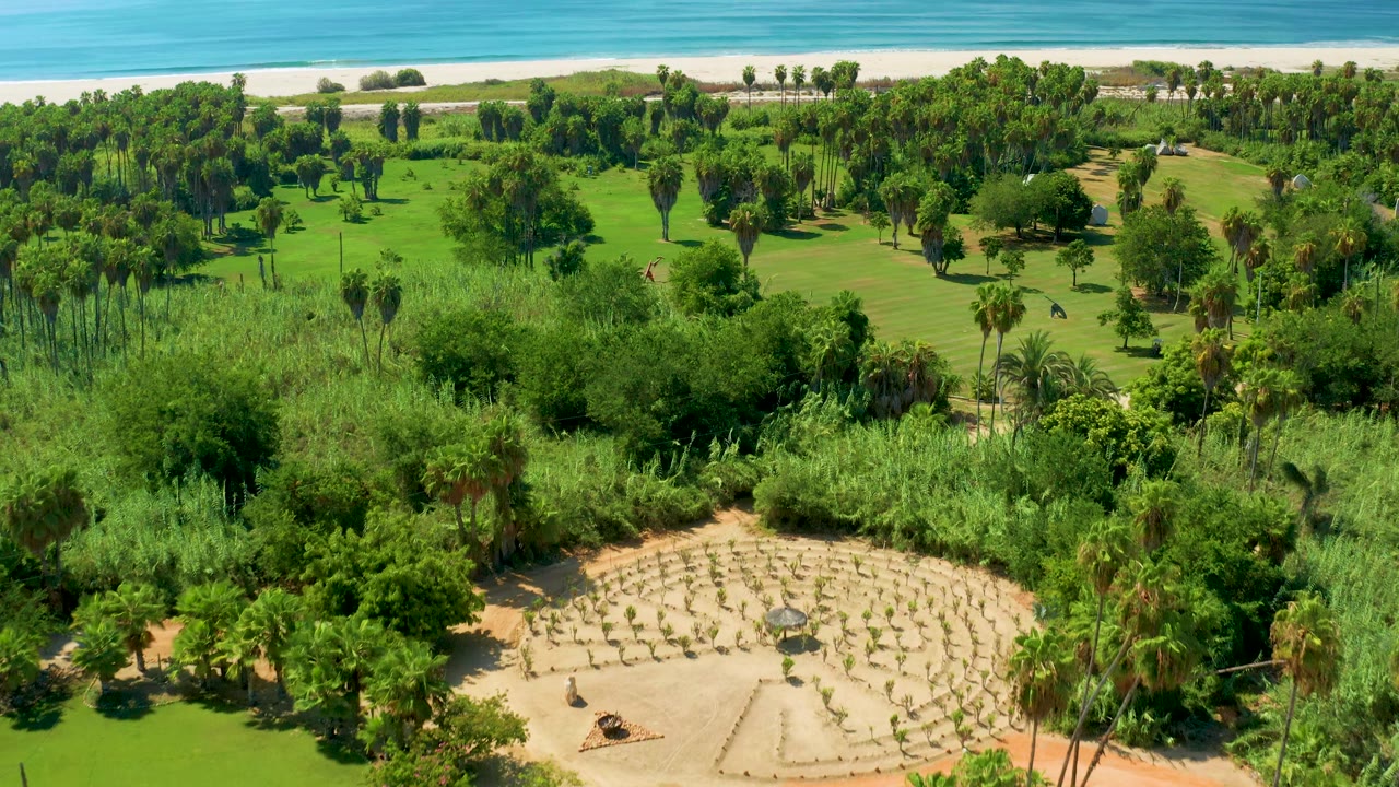 Aerial frame over San Jose Del Cabo with the circular seating area lower right, palms and lawns across the middle, and beach and ocean stretching behind, with no visible people.