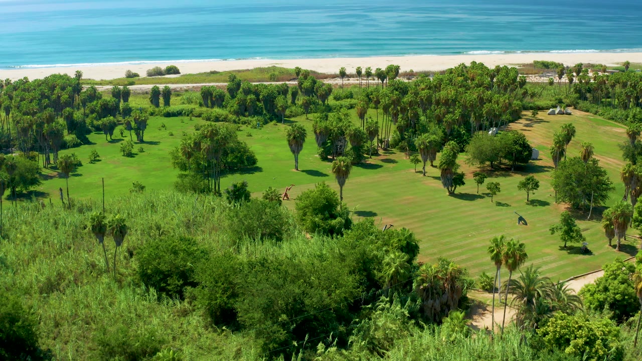 Elevated San Jose Del Cabo view with dense foreground trees, open green parkland, a pale sandy beach, and blue ocean beyond.