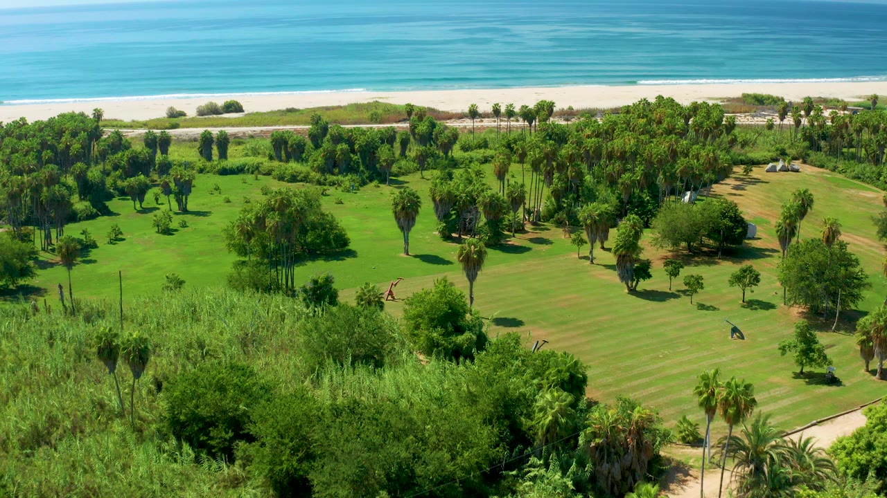 Beachside lawn with palms, trees, sand, and ocean from above.