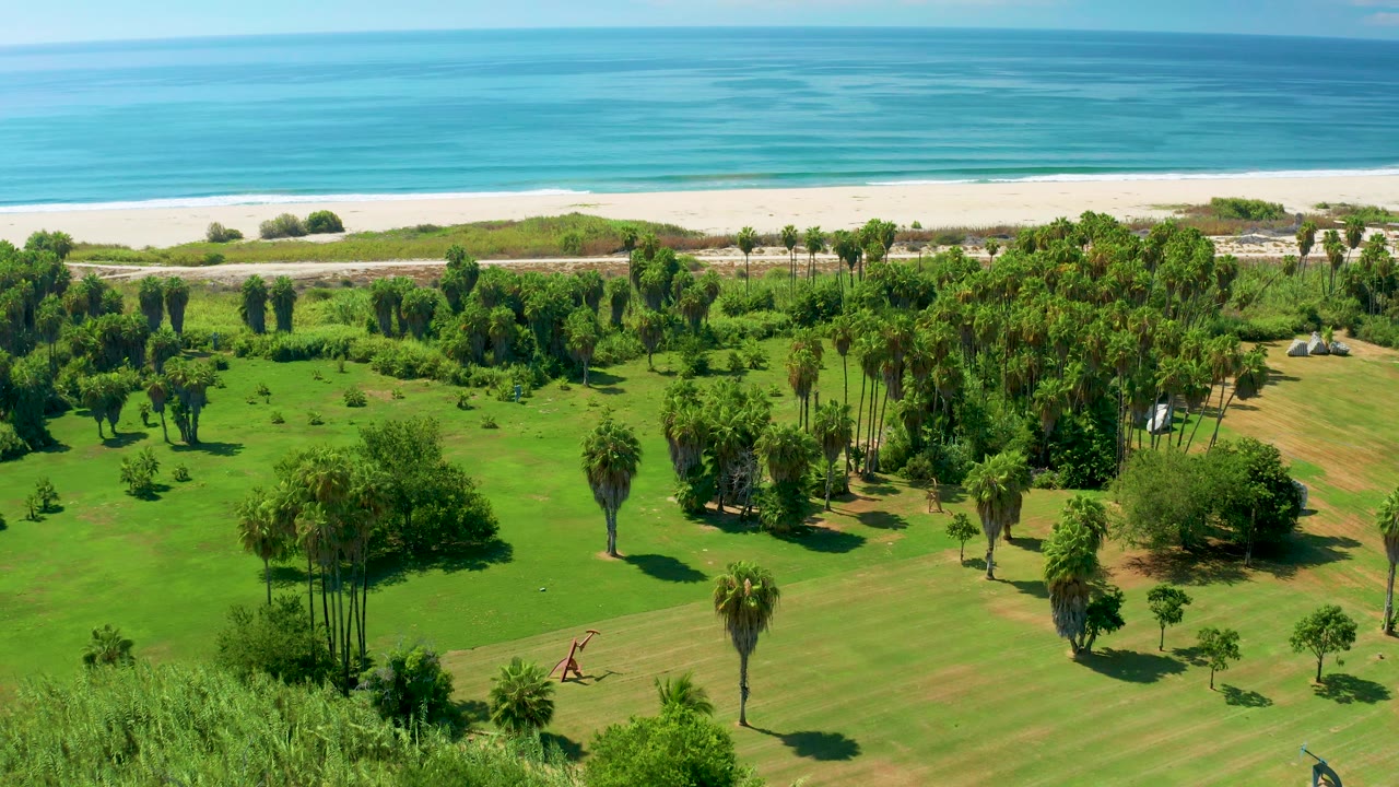 Opening aerial frame over San Jose del Cabo coastal grassland with palms in the foreground, a pale beach beyond the trees, blue ocean on the horizon, and no visible people.