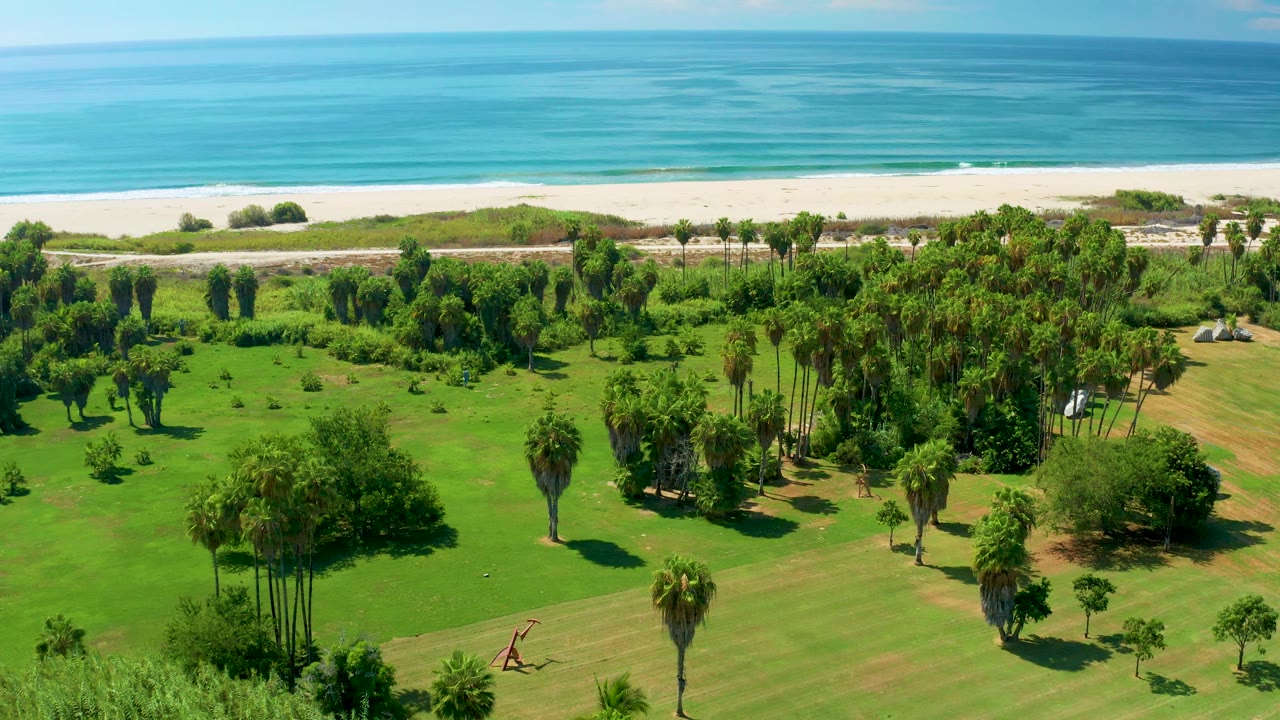 Palm clusters and trimmed grassland sit between the camera and a sandy beach with blue water beyond.
