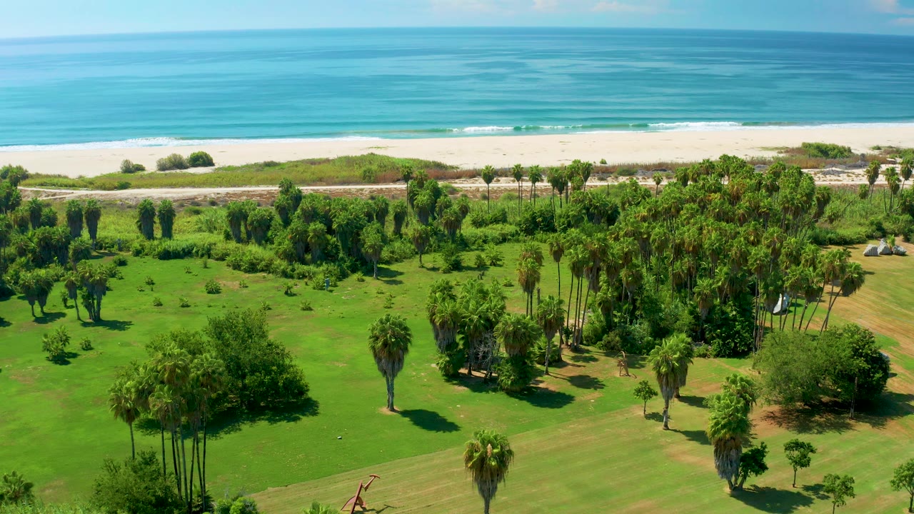 Aerial frame in San Jose del Cabo showing bright grass, grouped palms, dense shrubs, a narrow beach strip, turquoise water, and no visible people.