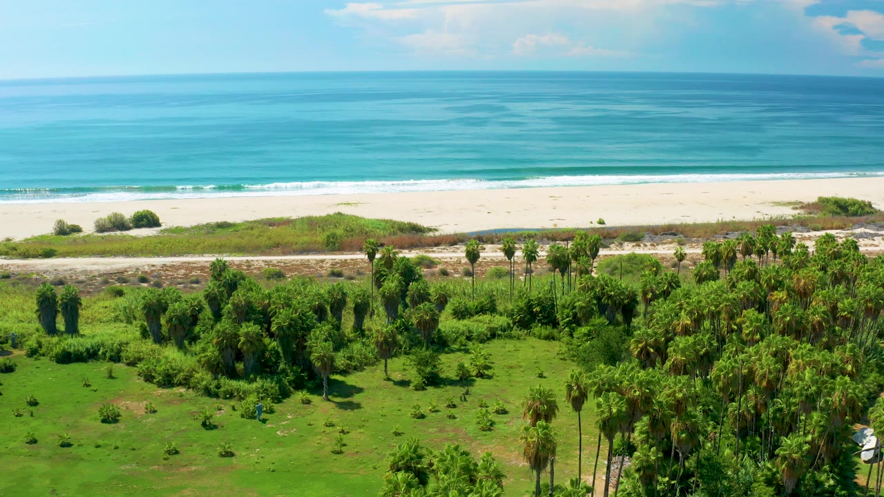 Aerial view in San Jose del Cabo showing turquoise ocean, a pale sandy beach, coastal greenery, palms, and a small person in the lower grass at the start of the clip.