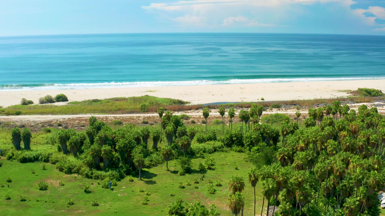 Wide coastal aerial with ocean, surf line, sand, road, palms, and green vegetation.