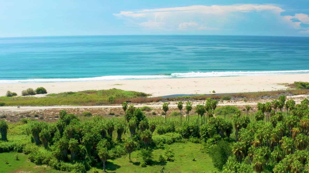 Aerial view of turquoise ocean, sandy beach, road, and green palms