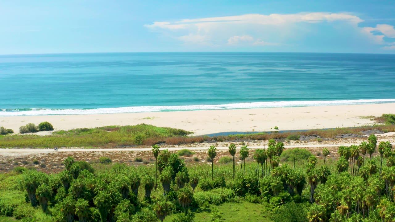 Later aerial frame in San Jose Del Cabo, Mexico, with small waves approaching the sand, a still road behind the beach, thick green palms below, and no visible people.