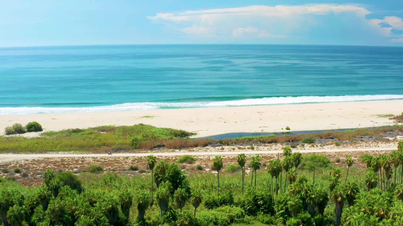 San Jose Del Cabo beach frame with the surf band slightly shifted along the sand, palms filling the lower edge, blue ocean beyond, and no visible people.