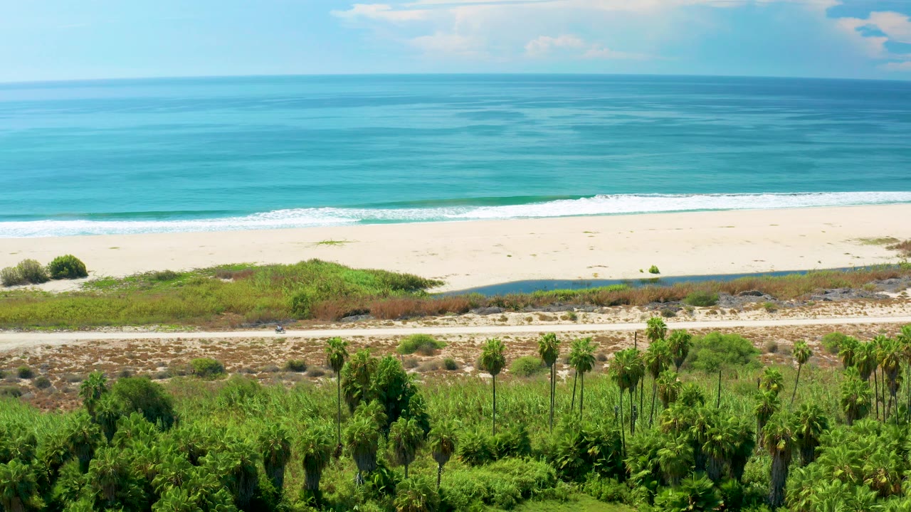 Mid-clip view of the San Jose Del Cabo shoreline with a broad turquoise water band, white sand, scrubby dunes, a thin road, foreground palms, and no visible people.