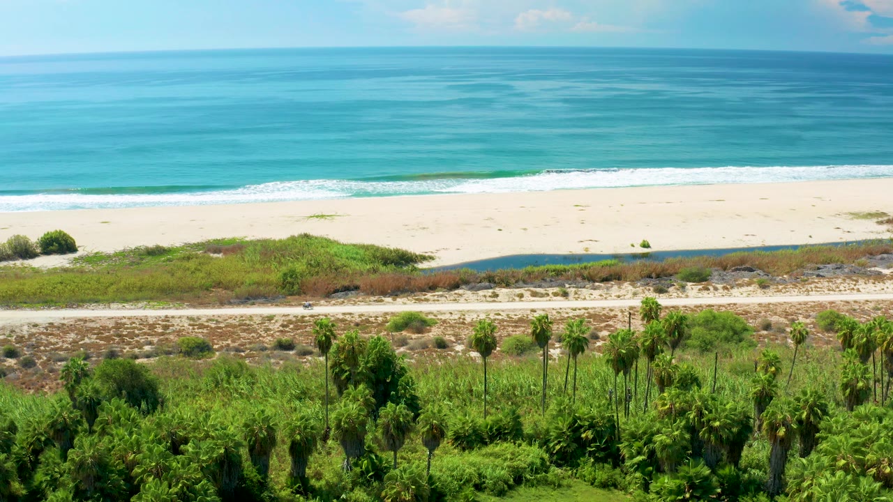 San Jose Del Cabo coastline frame with the beach spanning the center, gentle surf below the blue ocean, foreground palms and shrubs, and no visible people.