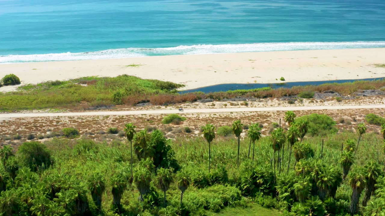 Aerial coastal road, sandy beach, turquoise surf, and green palms.