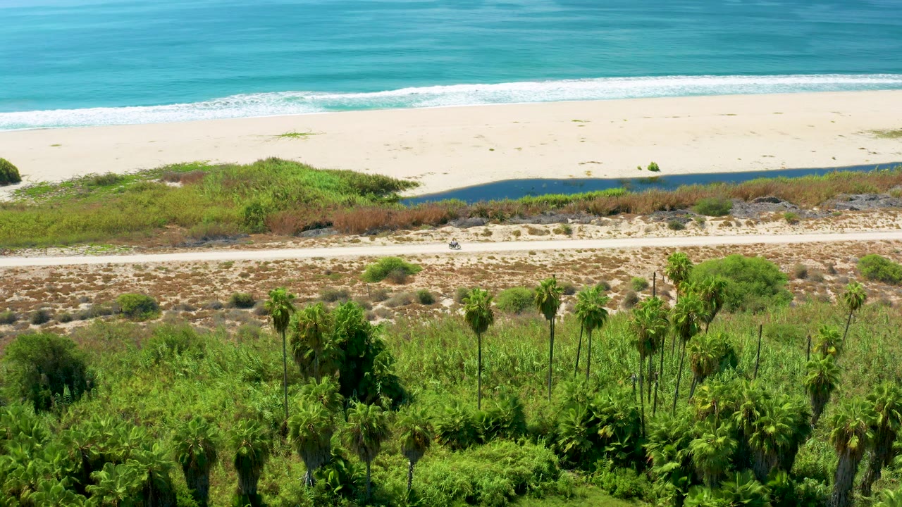 Second frame of the San Jose Del Cabo coast with the surf line near the top, pale sand below it, a road behind dunes, foreground palms, and no visible people.