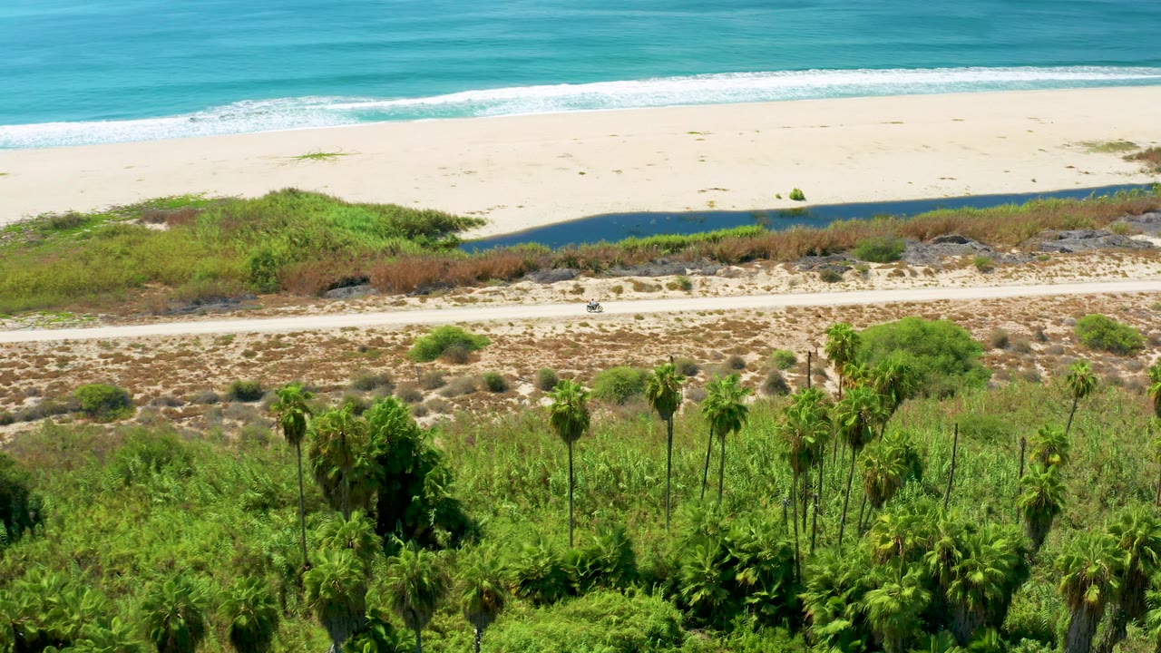 San Jose Del Cabo aerial frame with bright turquoise water, an empty sandy beach, low scrub around the roadside, palm canopy in the foreground, and no visible people.