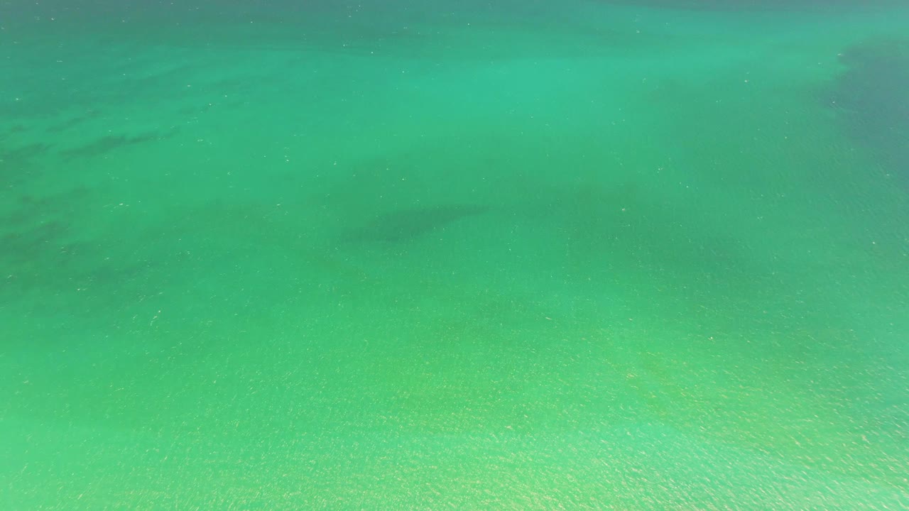 Opening underwater frame at Playa Miramar Los Cabos showing clear turquoise water over a pale sandy bottom with darker patches near the top and no visible people.