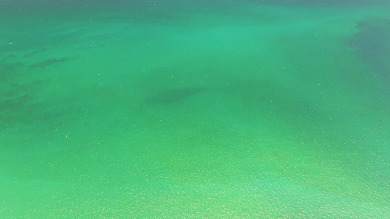 At 0:01, the Playa Miramar Los Cabos underwater view holds on green-blue water, pale sand, and shadowy submerged patches with no visible people.