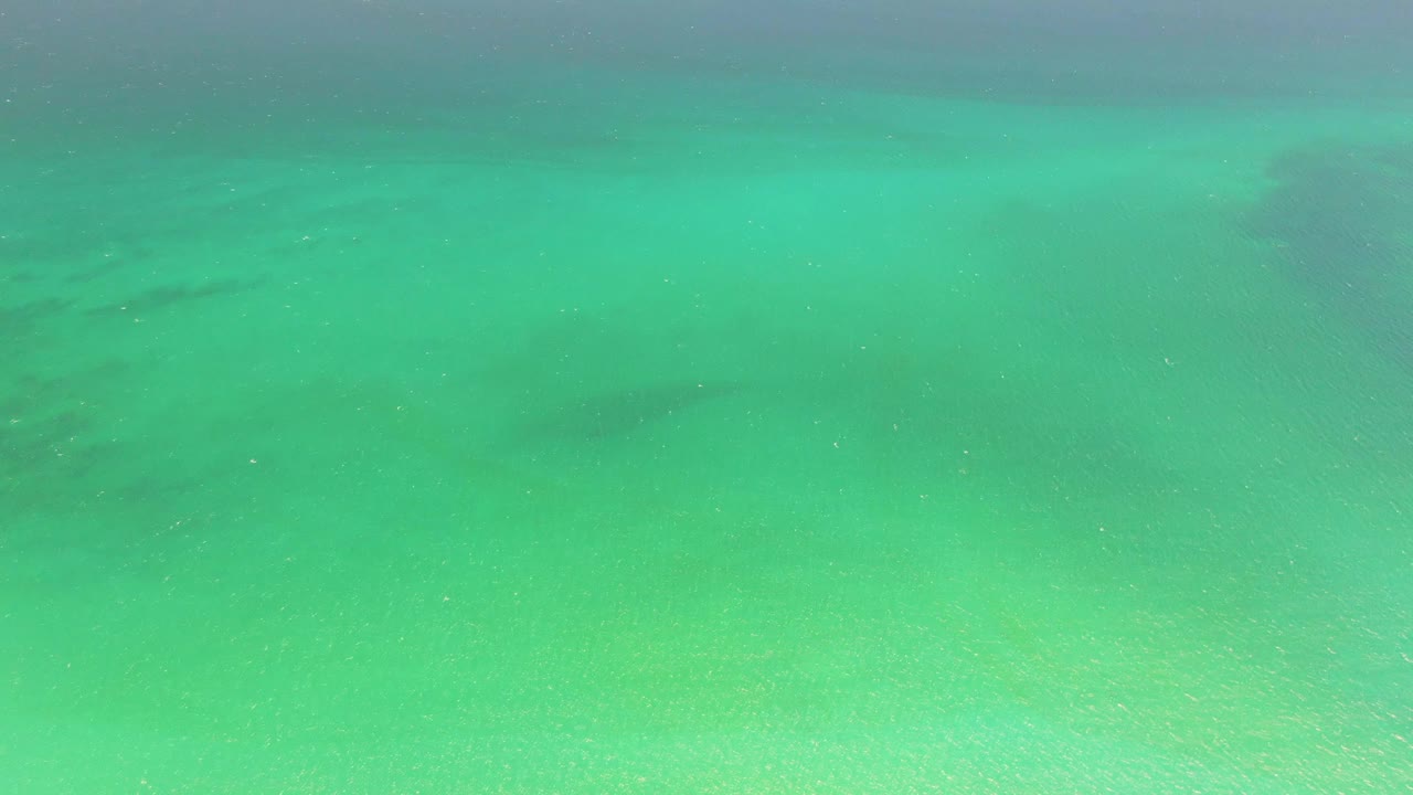 Clear shallow ocean water at Playa Miramar Los Cabos shows a pale sandy seabed beneath green-blue surface color with no visible people.