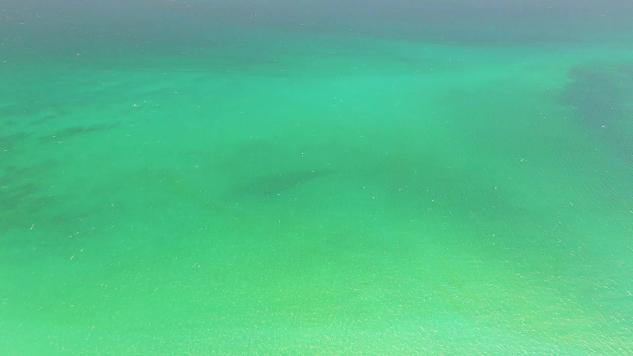 A faint dark fish shape appears under clear green-blue water at Playa Miramar Los Cabos, with the sandy bottom visible and no visible people.