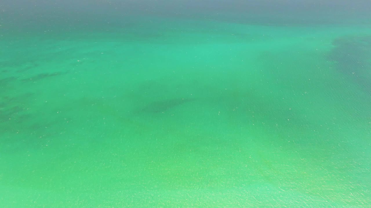 Darker fish forms sit beneath the green-blue shallows at Playa Miramar Los Cabos, with pale sand visible below and no visible people.