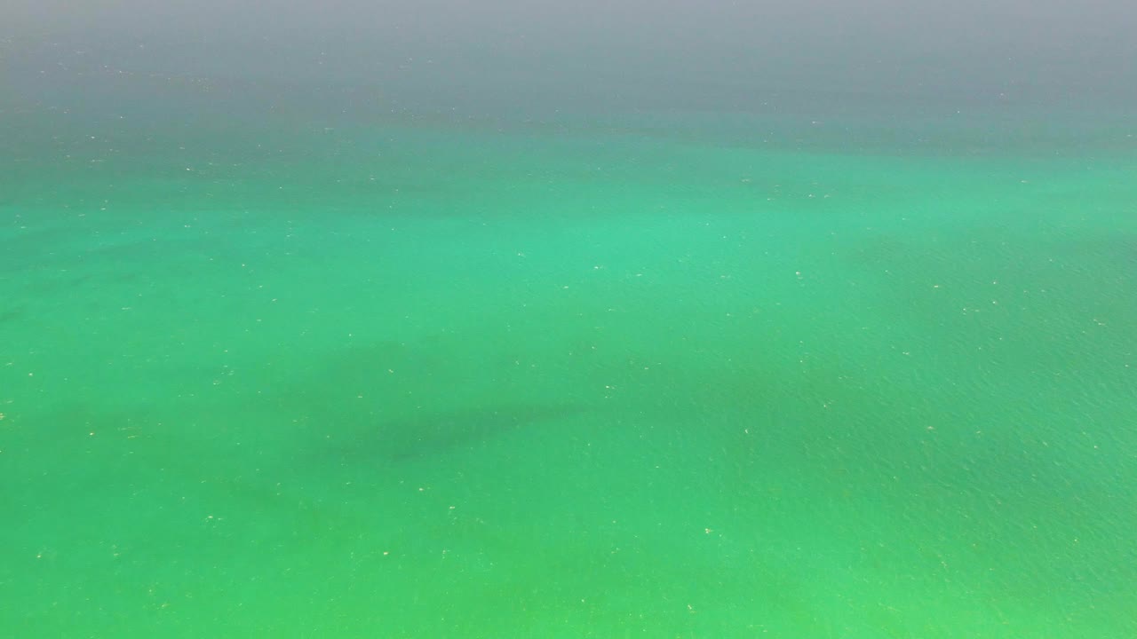 Dark fish shape under shallow turquoise water