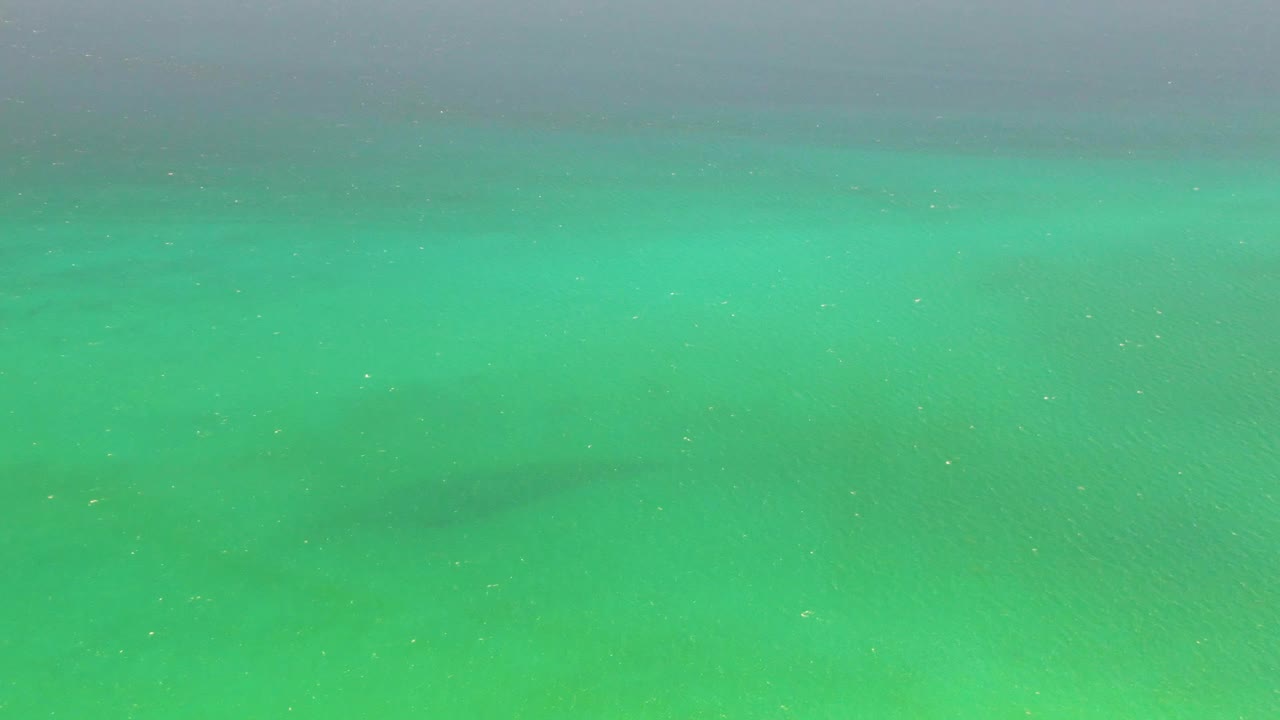 The fish appears slightly farther across the clear green-blue water at Playa Miramar Los Cabos, with faint surface texture and no visible people.
