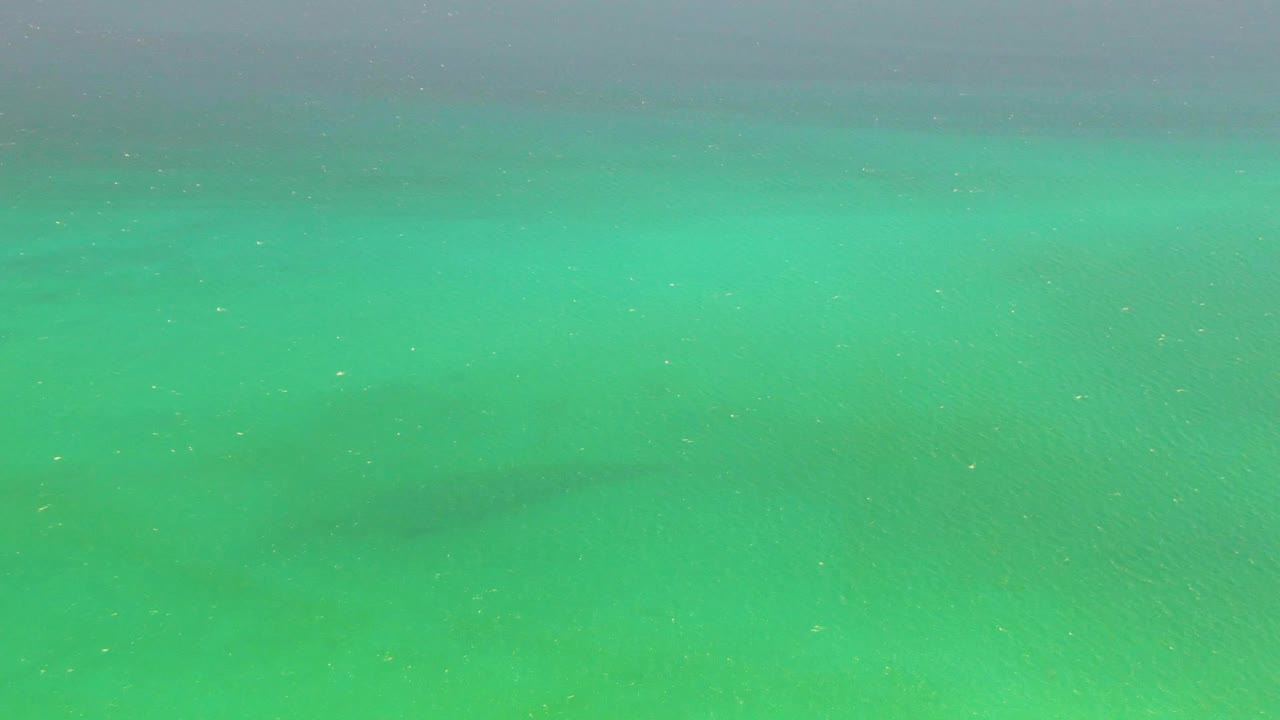 A dark underwater fish shape sits beneath brighter turquoise shallows at Playa Miramar Los Cabos, with light specks on the surface and no visible people.