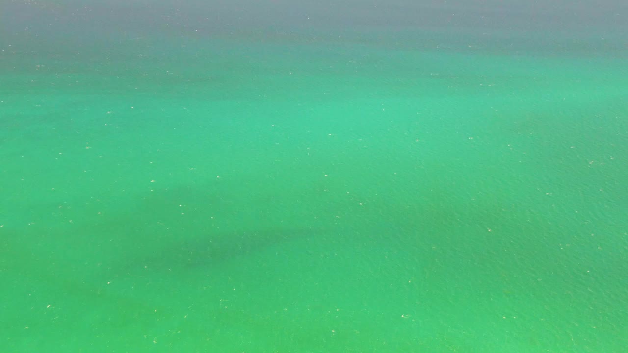 The frame shows the fish silhouette below clear turquoise water at Playa Miramar Los Cabos, with a muted gray water band across the upper area and no visible people.
