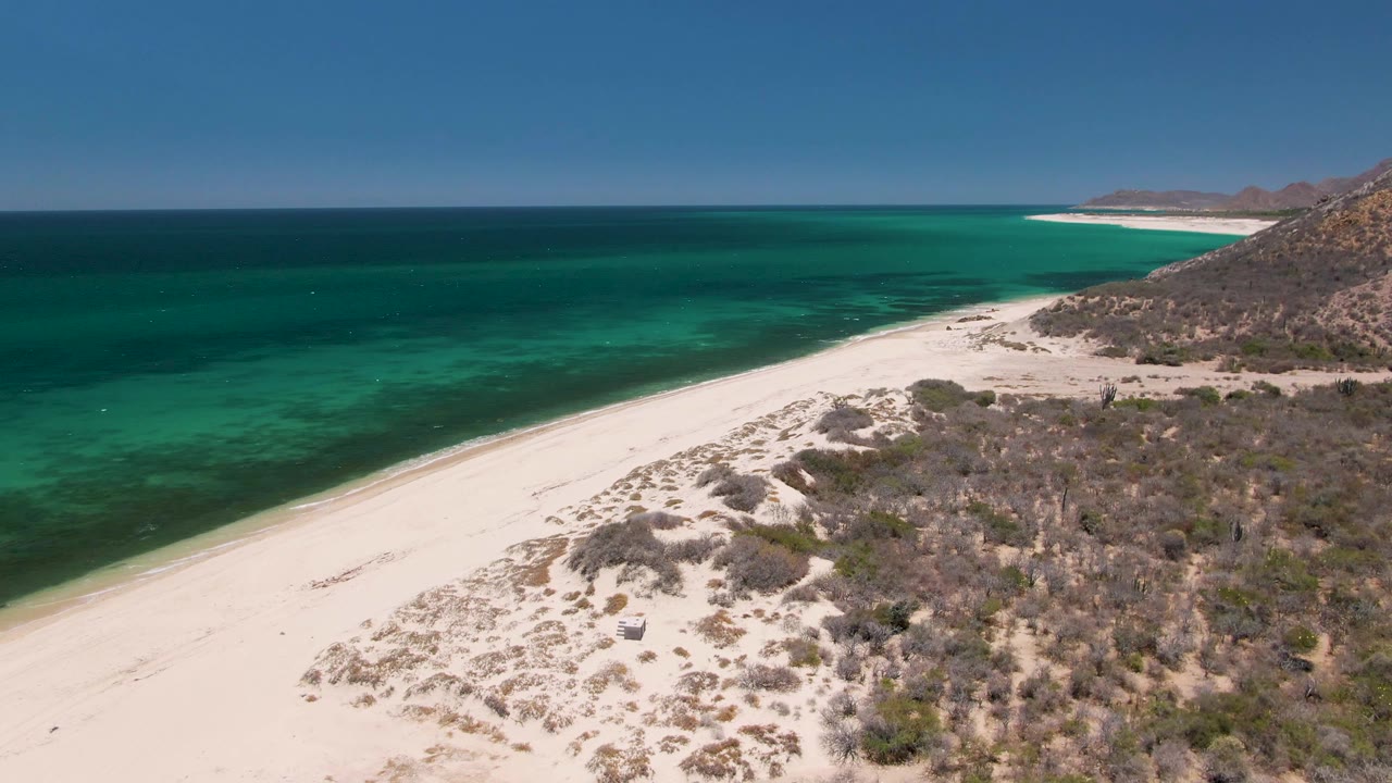 Wide aerial view over Playa Miramar Los Cabos with the ocean on the left, pale beach through the center, scrub-covered dunes on the right, and no visible people.