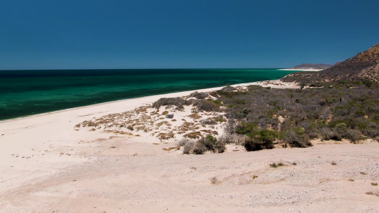 At Playa Miramar Los Cabos in Baja California Sur, white sand and low coastal scrub lead toward turquoise ocean water and a rocky hill at the right edge, with no visible people.