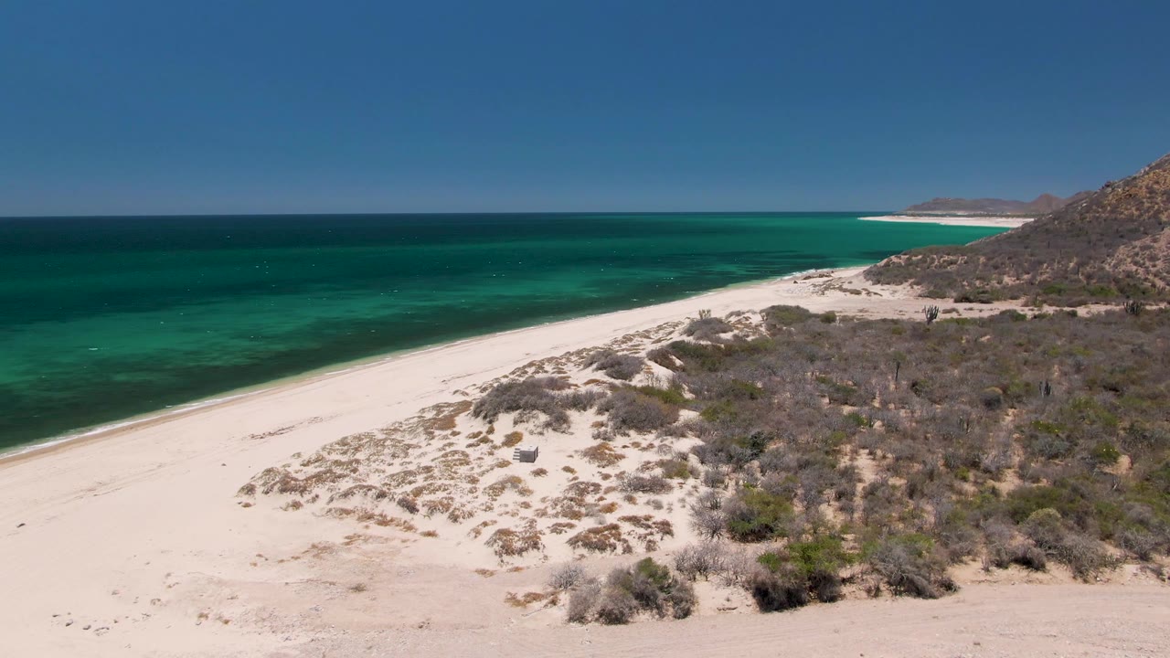 Aerial frame at Playa Miramar Los Cabos with the shoreline running diagonally, pale sand in the foreground, low dune shrubs in the midground, green-blue water offshore, and no visible people.