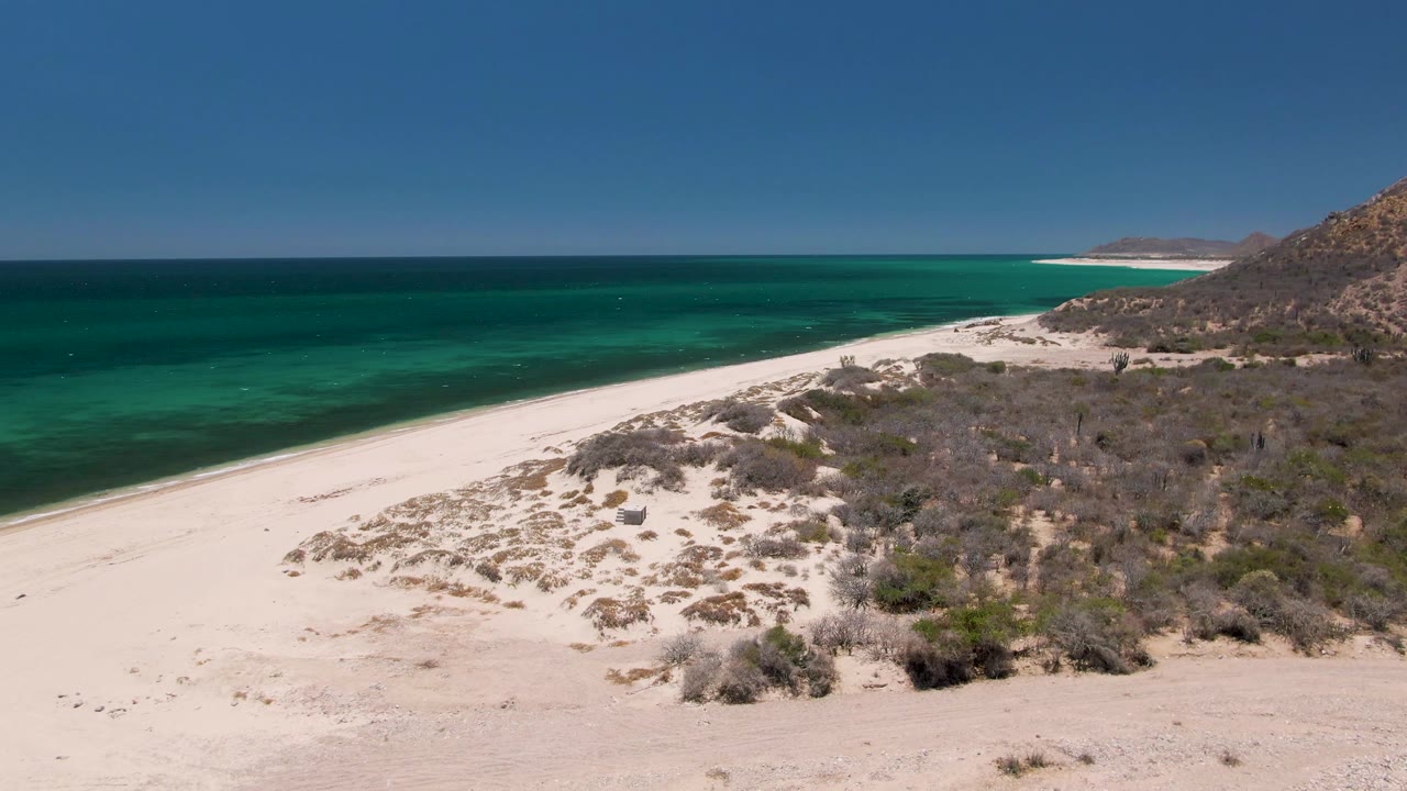 Aerial frame at Playa Miramar Los Cabos with bright sand across the lower frame, clustered dune shrubs, gentle surf along the left shoreline, distant coastline, and no visible people.