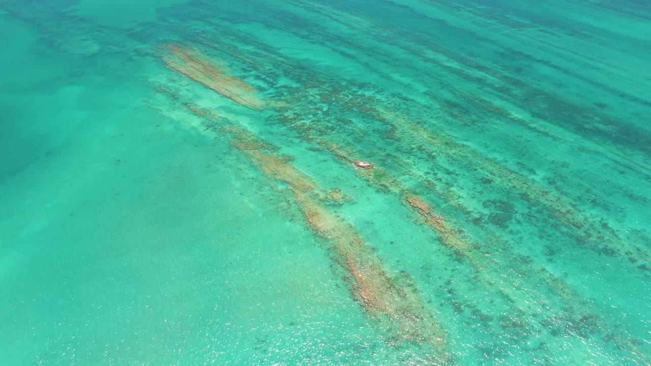 Clear Cabo Pulmo water reveals long reef bands and a small red object near the coral, with no visible people.