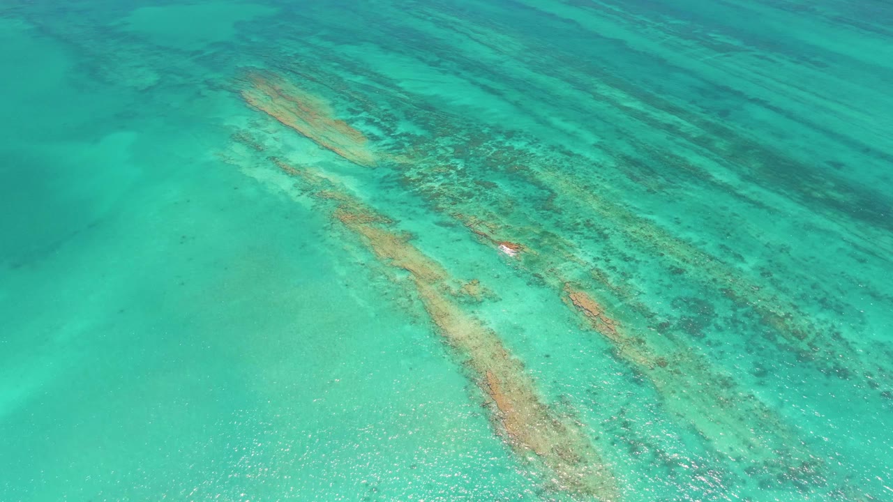 Overhead view of clear turquoise water in Cabo Pulmo with diagonal submerged structures, a small red buoy near the right side, and no visible people.