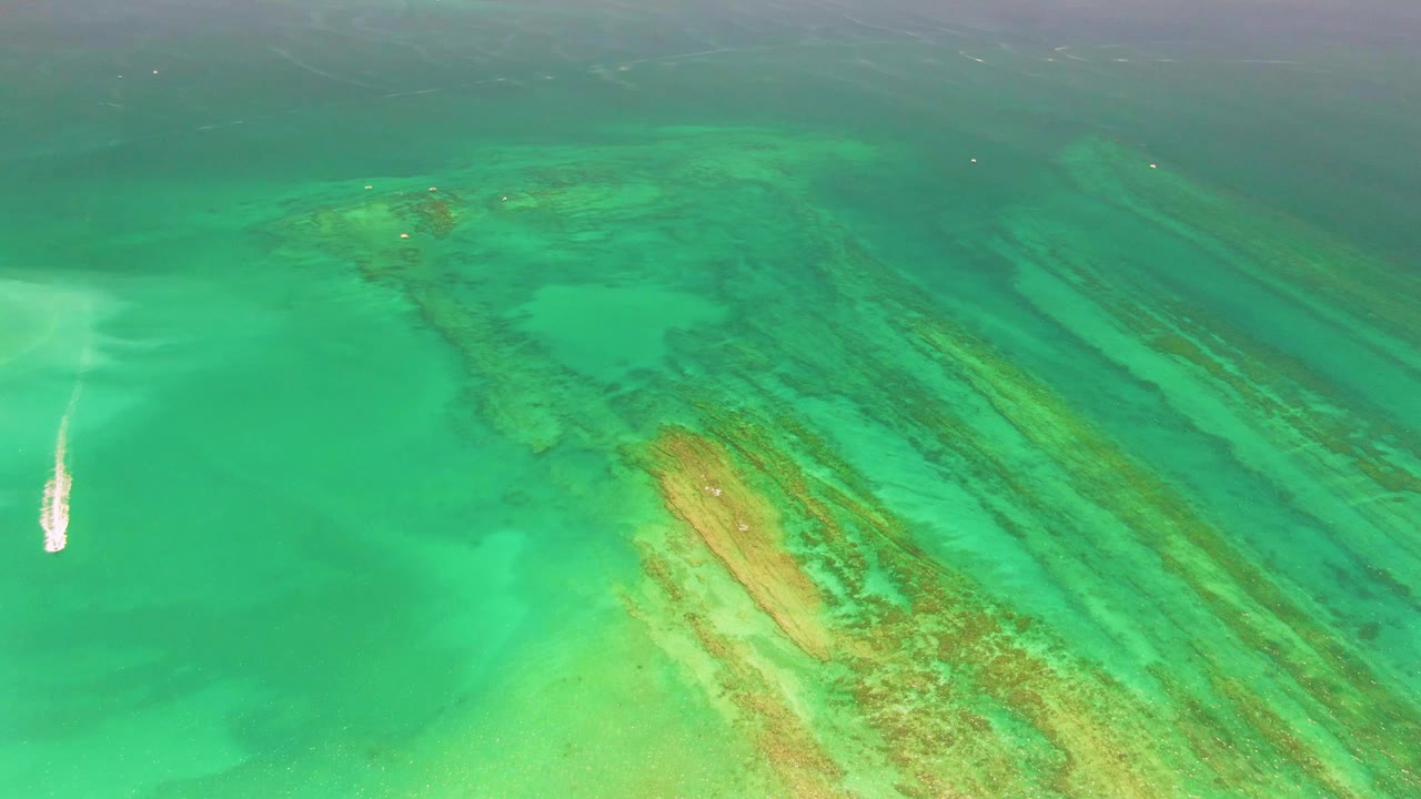 At 0:01, the boat and wake appear closer to the center-left of the Cabo Pulmo aerial view, with diagonal reef ridges and green-blue water filling the frame, with no visible people.