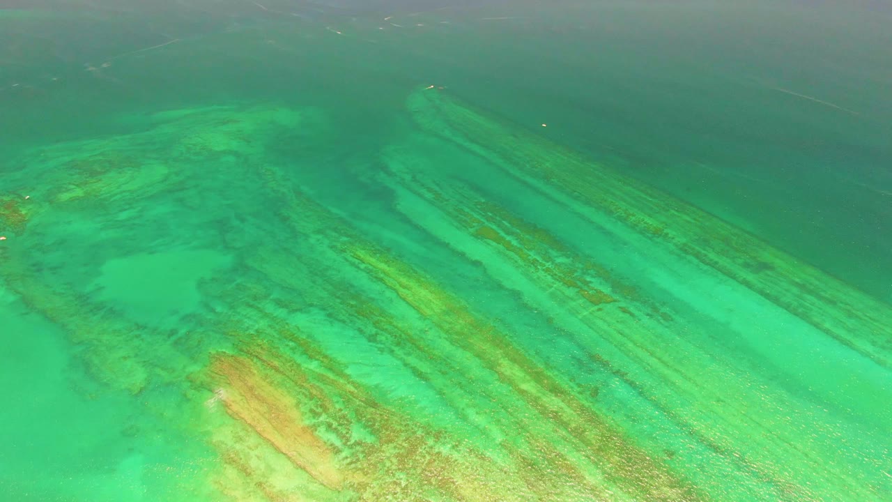 Aerial view of turquoise water over coral reef ridges.
