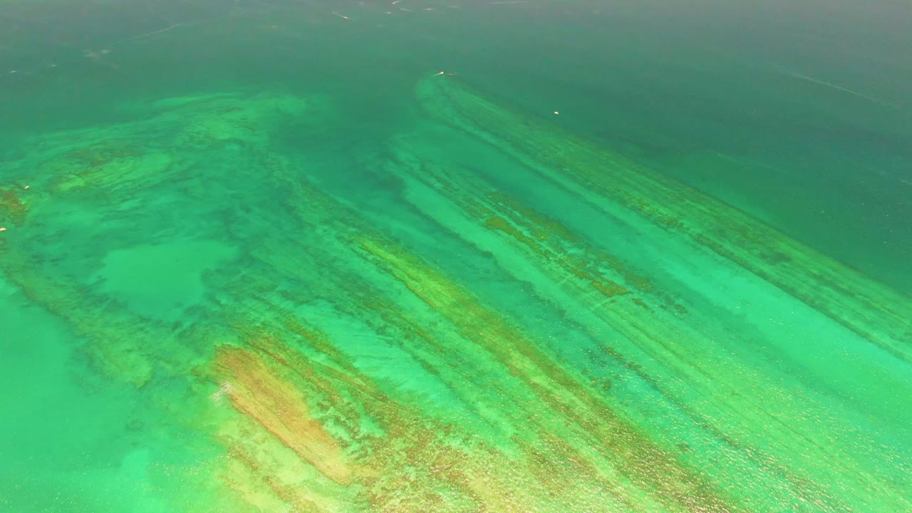 Cabo Pulmo reef bands sit under clear green-blue water, with a darker upper water area and no visible people.