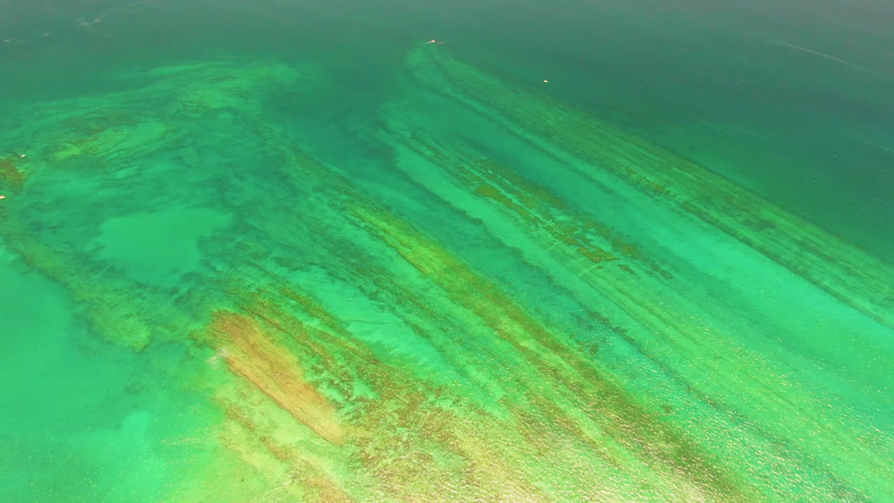 Downward aerial view in Cabo Pulmo showing diagonal reef lines under green ocean water, with no shoreline, boats, or visible people.