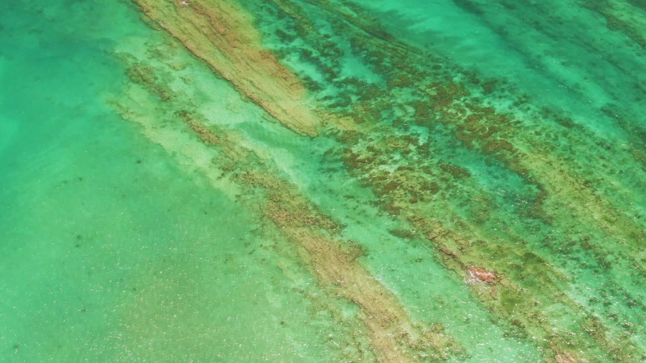 Turquoise shallow water over diagonal seabed vegetation.