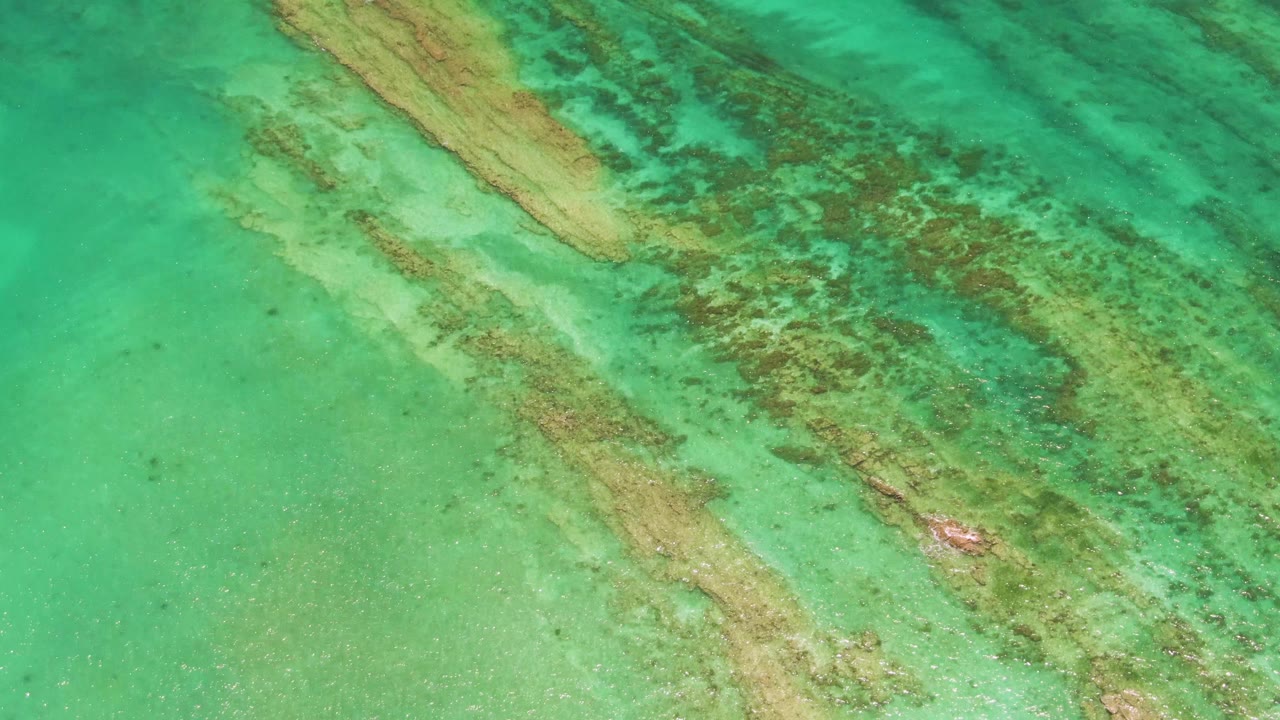 Overhead Cabo Pulmo frame with green-blue water, elongated seabed vegetation, darker reef-like patches, a small red object near the lower right of the formations, and no visible people.