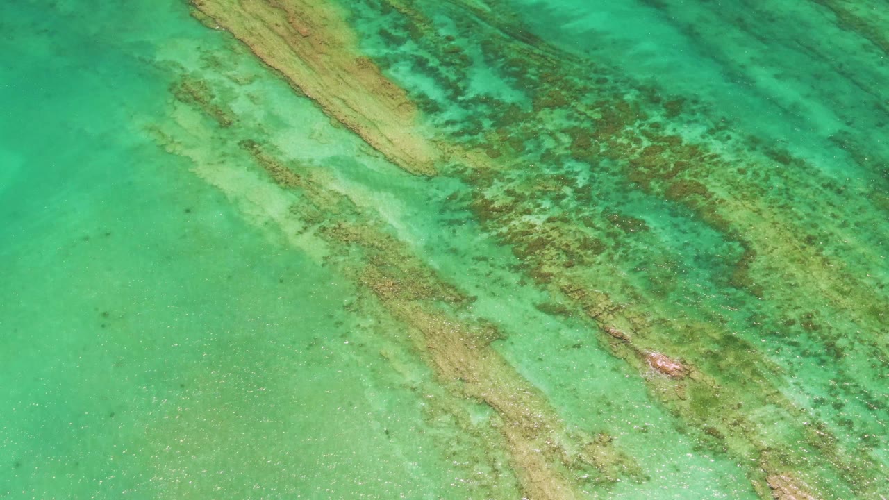 Turquoise Cabo Pulmo water seen from above, with the seabed formations shifted across frame, darker vegetation clustered to the right, open clear water to the left, and no visible people.