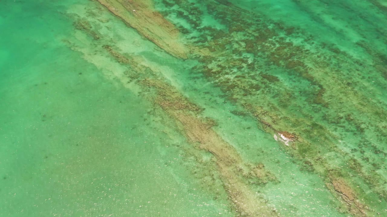 Clear green-blue water in Cabo Pulmo shows long submerged reef bands crossing diagonally, with a small white object near the coral and no visible people.