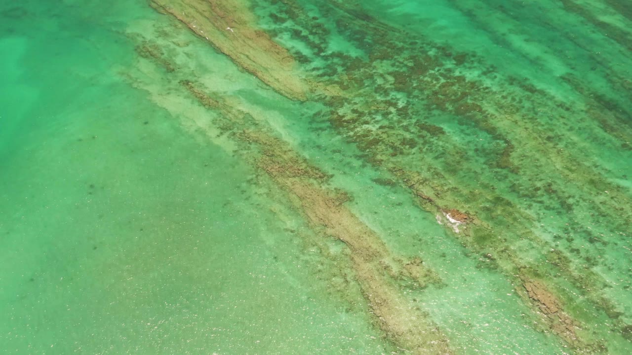 Top-down Cabo Pulmo reef view with pale turquoise water below and denser dark coral patches near the upper edge, with no visible people.