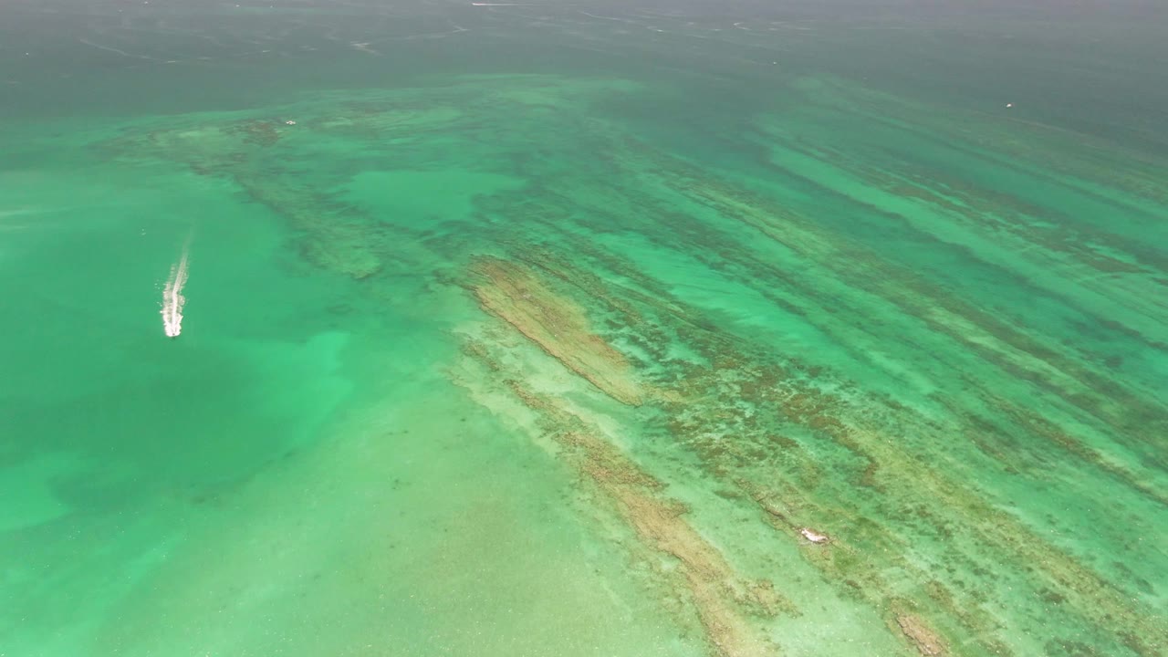 Aerial Cabo Pulmo frame showing the boat in the left side of the composition, with pale turquoise shallows below and darker reef lines extending across the right side, with no visible people.