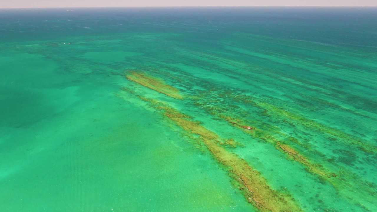 Later aerial frame over Cabo Pulmo with yellow-green reef shapes running from lower center toward the upper left and no visible people.