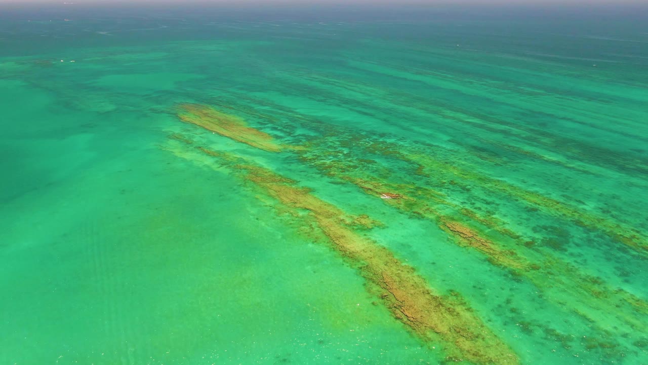 Aerial frame over Cabo Pulmo calm turquoise water with reef texture lower in the frame and darker blue-green water near the horizon, with no visible people.