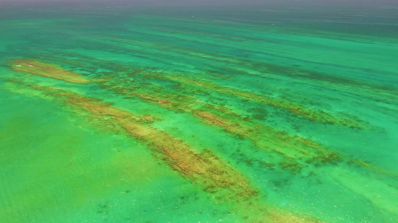 Opening frame of Cabo Pulmo turquoise shallow water with brown reef structures crossing diagonally under the surface and no visible people.