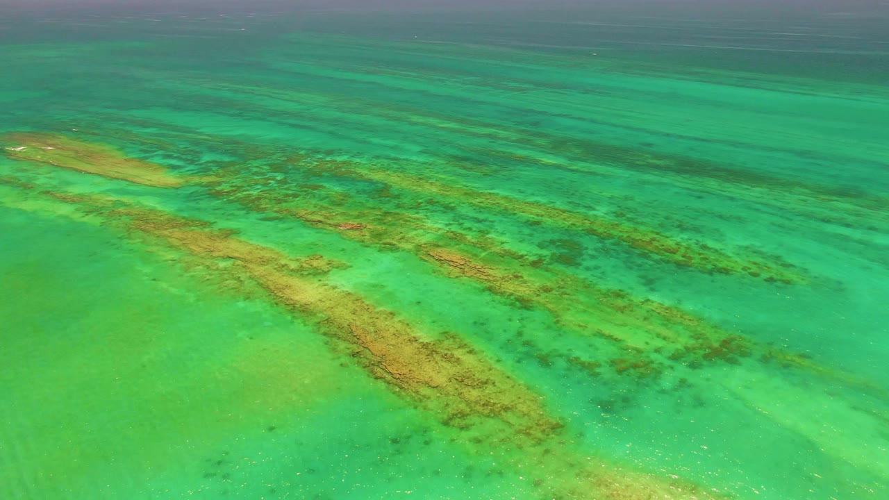 Cabo Pulmo aerial view with elongated reef patches under green-blue shallow water, slightly shifted in framing, and no visible people.